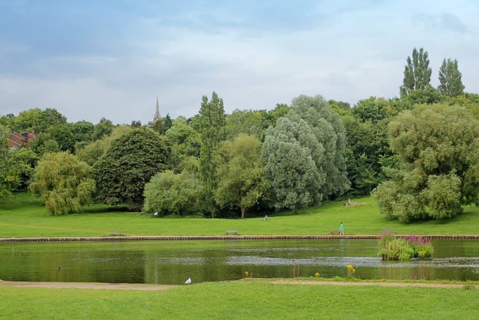 A tranquil park scene featuring a small pond in the foreground, surrounded by lush green grass and a variety of mature trees with different shades of green foliage. Some trees have rounded and bushy c