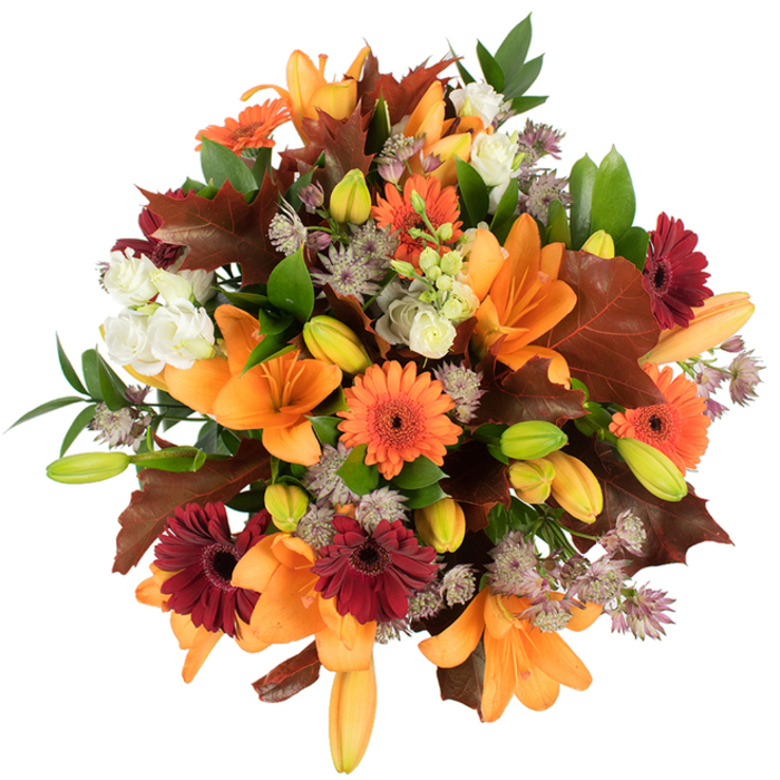 Seen from just above and composed against a pristine white backdrop, this dense autumnal bouquet is a study in warm contrasts and botanical detail, the sort of piece we craft at Flower Delivery Motspur Park for customers who ask for a true seasonal statement. Several large orange Asiatic lilies take centre stage, their broad petals curved outward like little trumpets catching the light; nestled nearby are numerous lily buds, pale orange with green tips, that create a sense of unfolding promise. Bright orange Gerberas add energetic, circular accents while deep burgundy-red Gerberas introduce a plush, velvety depth; each daisy's layered petals and dark eye provide cheerful punctuation. Creamy white lisianthus flowers, with their ruffled, tender layers, break the intensity with soft, tactile notes. Scattered throughout are delicate, starry clusters of Astrantia in greyed purple and lavender, delivering an intricate, airy texture that contrasts beautifully with the larger blooms. The bouquet is framed with broad, lobed leaves in warm reddish-brown-reminiscent of fallen oak-and fresh green foliage that threads through the design, supplying structure and crisp, verdant contrast. The studio's bright lighting reveals the fine veins in petals and leaves, emphasizing the arrangement's lush, freshly gathered quality and the careful rhythm of the design. This arrangement reads as both festive and grounding: a welcome centrepiece for a Thanksgiving table, an autumn wedding accent, or a comforting gift for someone who loves the season. The composition brings to mind Motspur Park's local parks and tree-lined streets, where late-season colour gathers on pathways and hedgerows, translated here into a portable bouquet of warmth and abundance.