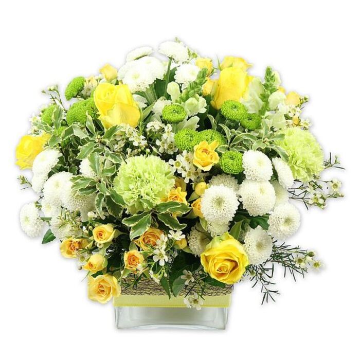 A lush, carefully composed bouquet in a modern, square glass vase radiates with shades of sunshine yellow, fresh white, and vivid green, the flowers arranged in a smooth dome that feels both abundant and perfectly balanced. At the forefront, full-headed yellow roses with velvety petals unfold next to slender stems of yellow spray roses, their smaller blooms offering a more intricate, clustered texture. Dense white pompom chrysanthemums, rounded and plush, create soft islands of colour among the roses, while vivid lime green button mums add playful dots of contrast, like little garden treasures discovered between leaves. Larger, airy green blossoms, reminiscent of ruffled carnations or decorative green chrysanthemums, bring a gentle, frilly softness to the composition. Fine white filler flowers, similar to tiny asters or gypsophila, are scattered throughout, lending a sense of lightness and movement as they peek out from the greenery. The foliage is rich and varied, with deep green sprigs, feathery fronds, and striking variegated leaves edged in pale cream that echo the white blooms and draw the eye across the arrangement. The stems are visible through the clear glass vase, gathered neatly, while the middle of the vase is wrapped in a rustic band of woven natural material, overlaid with a smooth lime green ribbon placed horizontally to tie in with the fresh green tones above. The arrangement is photographed against a clean white background, giving it a gallery-like clarity, as though it has just been set down on a polished table in a Motspur Park townhouse near Cannon Hill Common. The bouquet feels ideal for spring birthdays, new home celebrations, or as a thoughtful show of support, bringing a breath of garden freshness into any Motspur Park home or workspace.